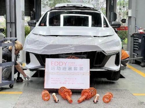 Aktueller Firmenfall über Installationsarbeiten. Upgrade des GAC Trumpchi Shadow Leopard mit EDDY-Sportschlagdämpfern.